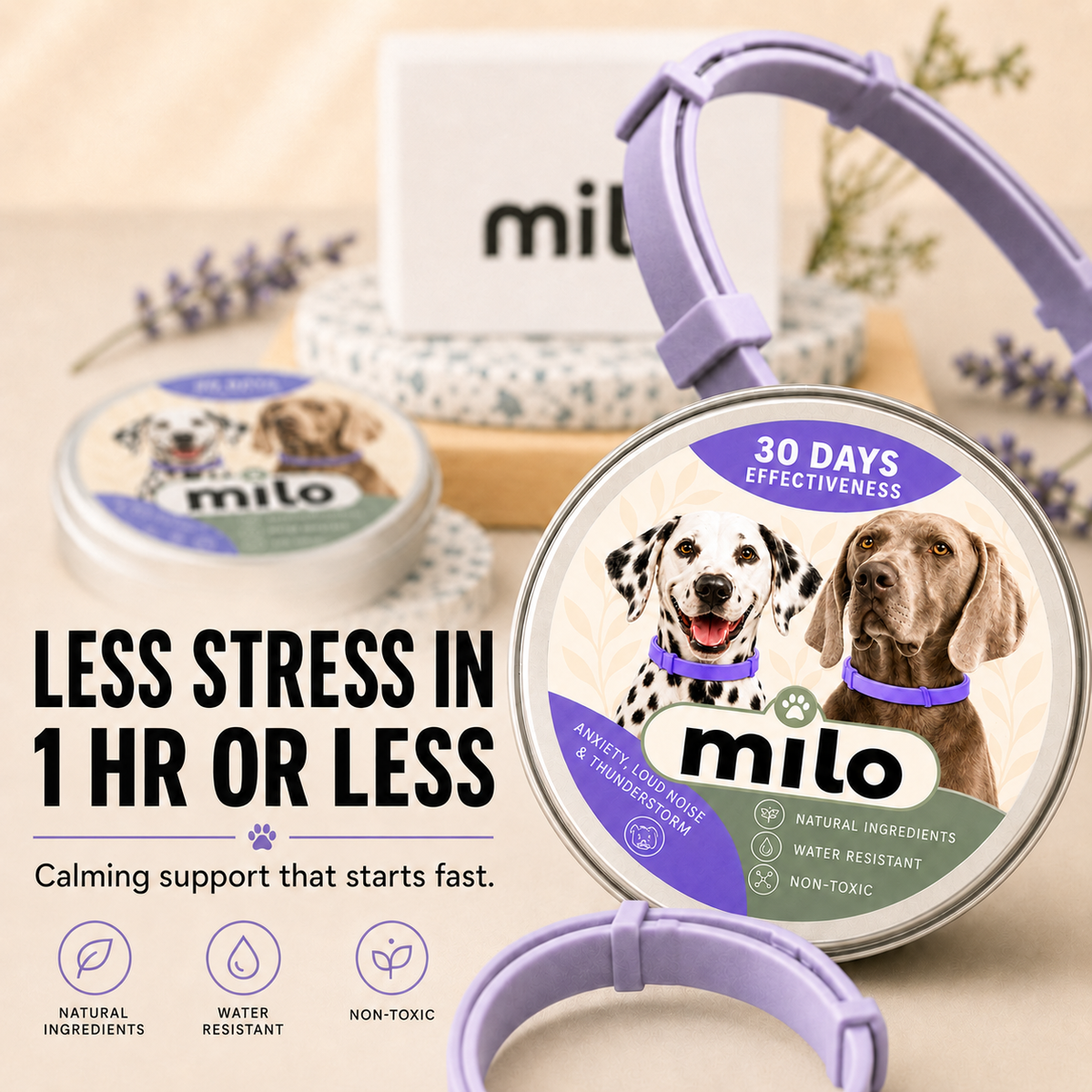 Calming Dog Collar