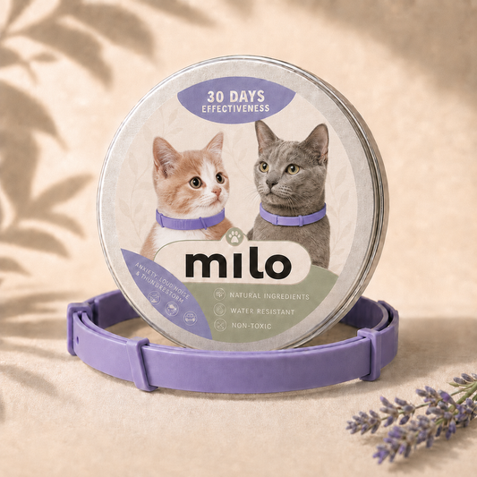 Calming Cat Collar