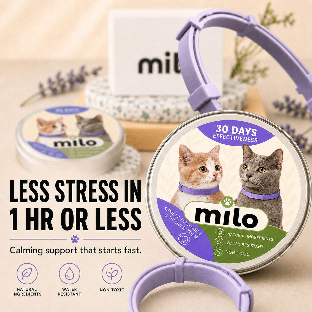 Calming Cat Collar