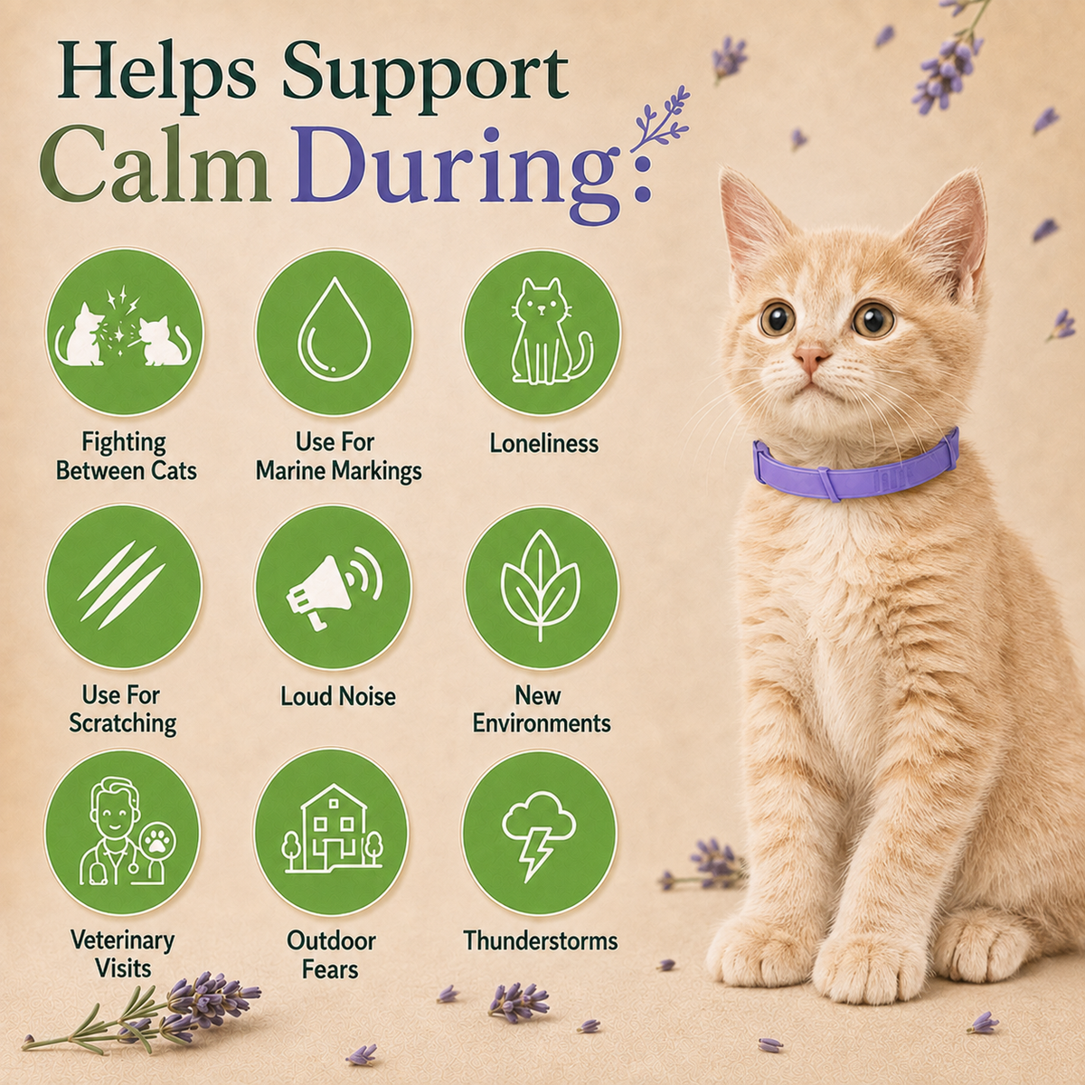 Calming Cat Collar