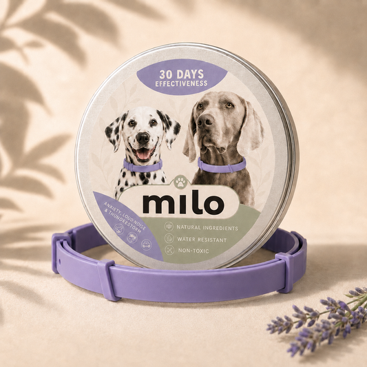 Calming Dog Collar