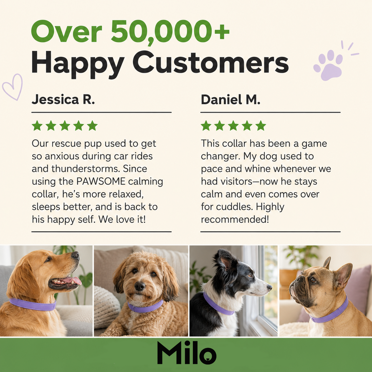 Calming Dog Collar